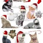 Jingle Cats Christmas 2