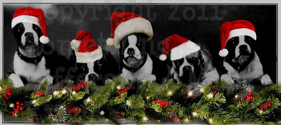 Santa Hat Christmas Doggies