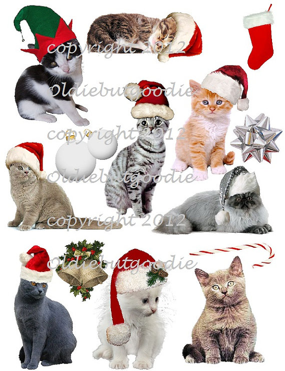 Jingle Cats Christmas 2